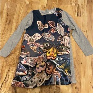 Girls Molo Butterfly/Moth Long Sleeve Dress 5/6